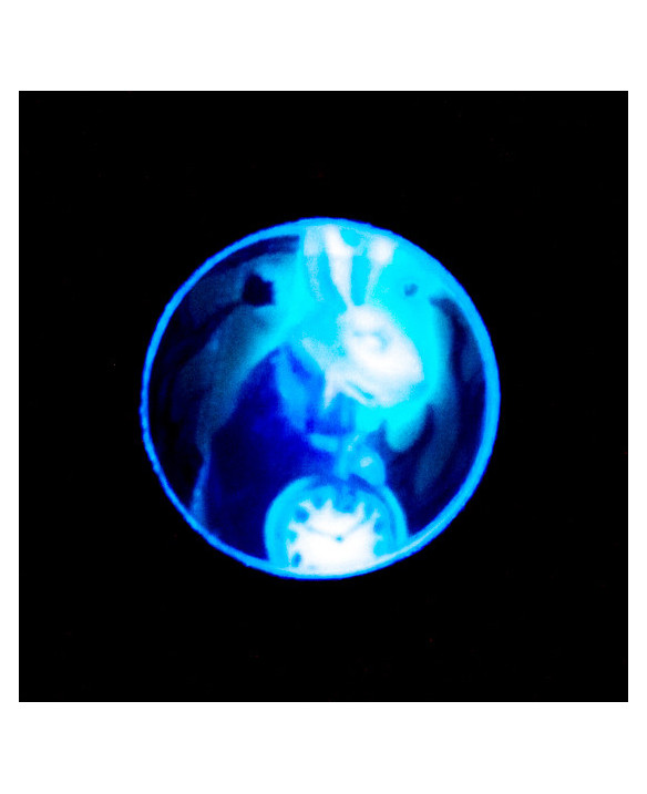 ALONE IN THE DARK - RABBIT