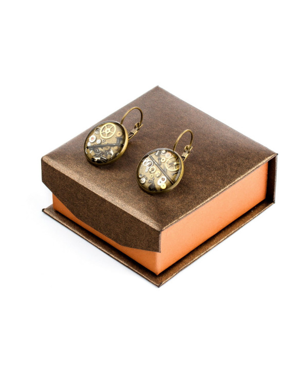 LARGE EARRINGS - BROWN